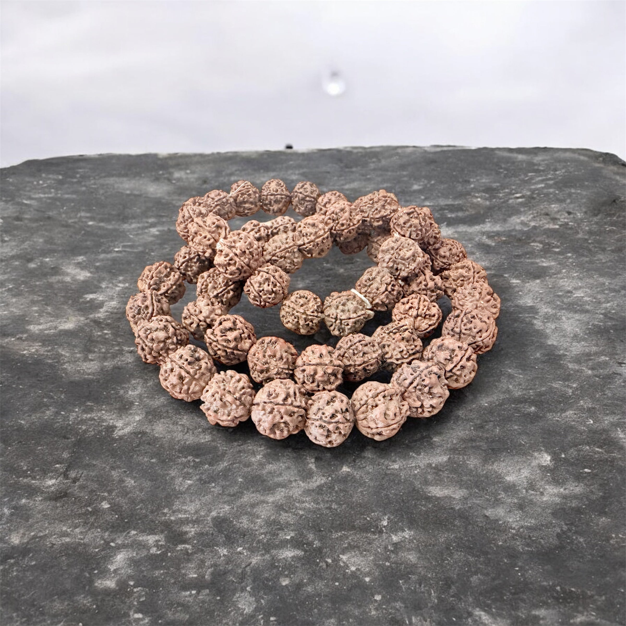 5 Mukhi Rudraksha Bead 20mm Healing and Meditation