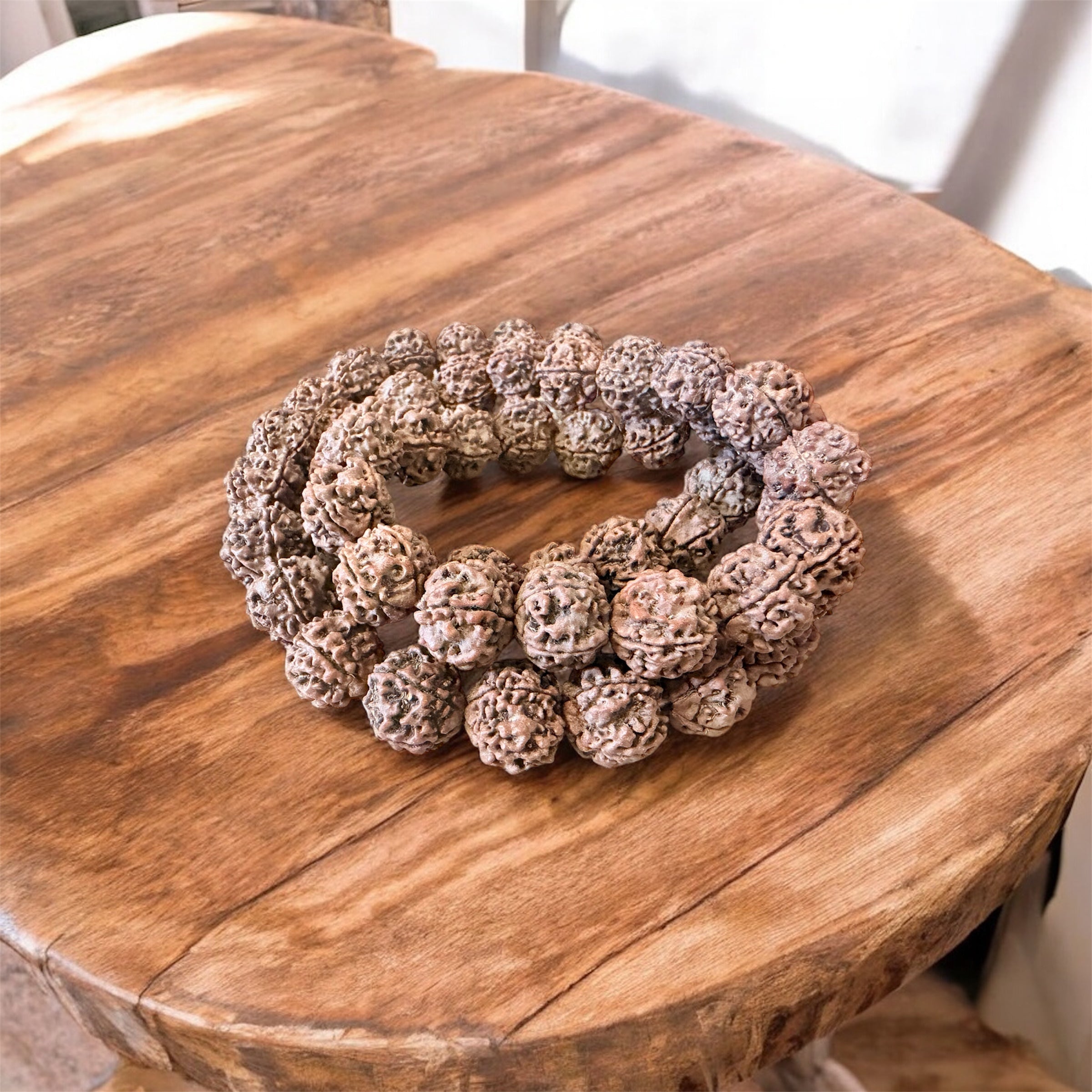 5 Mukhi Rudraksha Bead 20mm Healing and Meditation