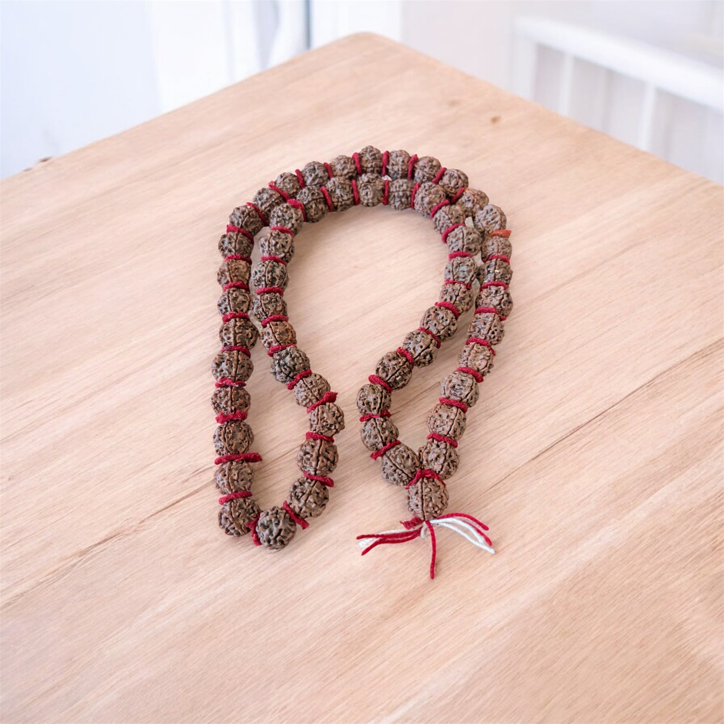 7 Mukhi Genuine Rudraksha Himalayan Original Bead 20mm
