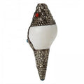 Conch Decoration